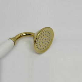 Contemporary Ti-PVD Finish Brass Handled Shower Head