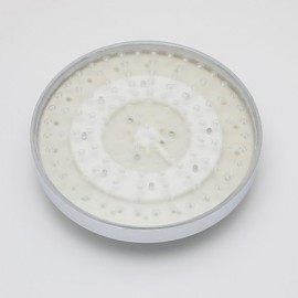 8 Inch A Grade ABS Chrome Finish Round 7 Colors LED Rain Shower Head - Silver