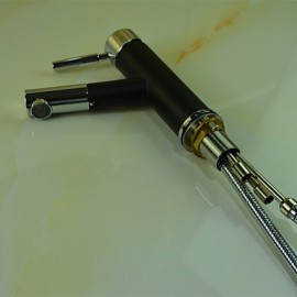 Art Deco / Retro Pullout Spray Brass Painting Bathroom Sink Faucet