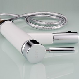 Bathroom Sink Faucet Contemporary Pullout Spray Brass Painting