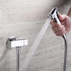 Contemporary Chrome Finish Brass Bidet Faucet