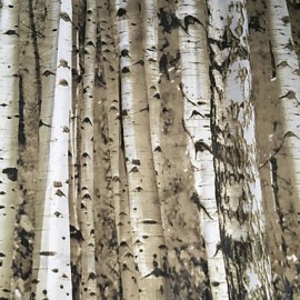 Shower Curtains Neoclassical Polyester Floral Botanical Machine Made