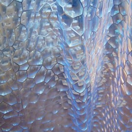 Shower Curtains Modern PEVA Floral Botanical Machine Made