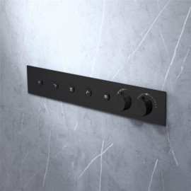 Five-Function Concealed Thermostatic Shower Valve