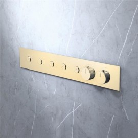 Five-Function Concealed Thermostatic Shower Valve