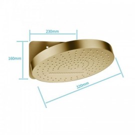 Round Shower Head In Stainless Steel With Dual Function