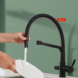 Black Copper/Brushed Nickel Kitchen Water Purifier Faucet Rotating Nozzle