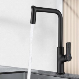 Pull-Out Rotary Kitchen Mixer In Copper Chrome/Black Model