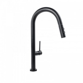 Pull-Out Kitchen Faucet In Brushed Nickel/Black Stainless Steel
