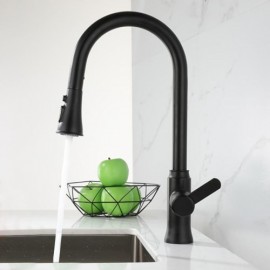 Stainless Steel Kitchen Mixer Pull-Out Nozzle Black/Brushed Nickel Color