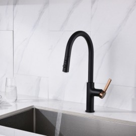 Single Lever Kitchen Mixer With Pull-Out Nozzle Black/Chrome