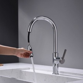 Single Lever Kitchen Mixer With Pull-Out Nozzle Black/Chrome