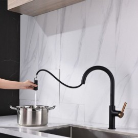 Single Lever Kitchen Mixer With Pull-Out Nozzle Black/Chrome