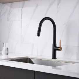 Single Lever Kitchen Mixer With Pull-Out Nozzle Black/Chrome