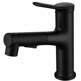 Basin Mixer With Black/Chrome Hand Shower