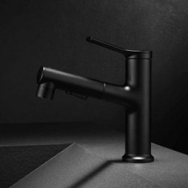 Basin Mixer With Black/Chrome Hand Shower