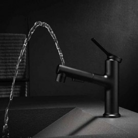 Basin Mixer With Black/Chrome Hand Shower