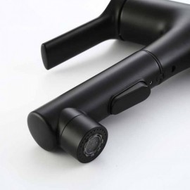 Basin Mixer With Black/Chrome Hand Shower