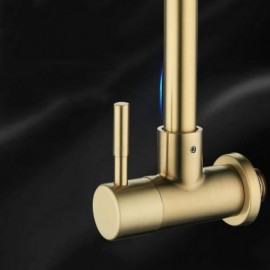 Wall-Mounted Cold Water Kitchen Faucet In Stainless Steel Brushed Gold