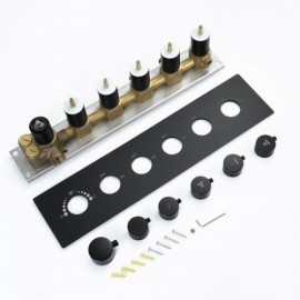 4-Function Concealed Thermostatic Shower Valve Concealed Box Not Included