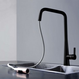 Black Hot And Cold Kitchen Faucet With Removable Nozzle