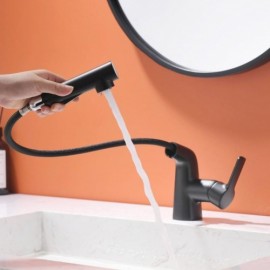 Basin Faucet With Retractable Nozzle Contemporary Style