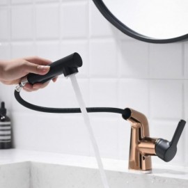 Basin Faucet With Retractable Nozzle Contemporary Style