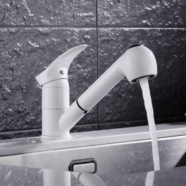 Kitchen Mixer With Brass Spray 6 Models