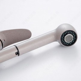 Kitchen Mixer With Brass Spray 6 Models