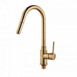 Kitchen Mixer With Brass Spray Gold