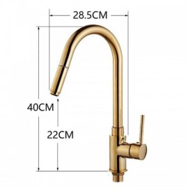 Kitchen Mixer With Brass Spray Gold