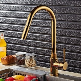 Kitchen Mixer With Brass Spray Gold