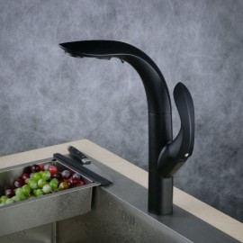 Kitchen Faucet With Brass Spray Black Baking Paint