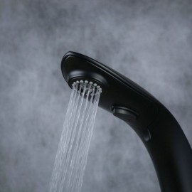 Kitchen Faucet With Brass Spray Black Baking Paint