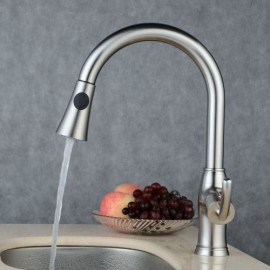 Kitchen Faucet With Brushed Stainless Steel Spray