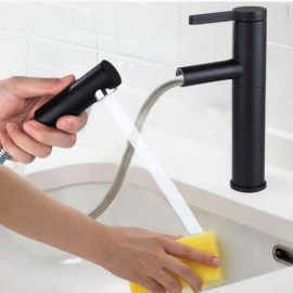 Sink Faucet With Black Hand Shower Cold Hot Water