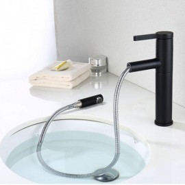 Sink Faucet With Black Hand Shower Cold Hot Water