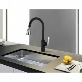 Black Copper Paint Kitchen Faucet With Spray