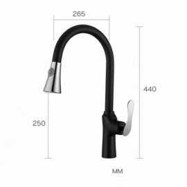 Black Copper Paint Kitchen Faucet With Spray