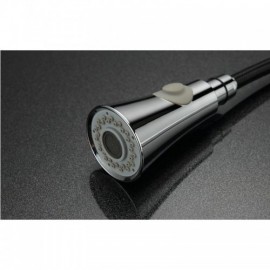 Black Copper Paint Kitchen Faucet With Spray